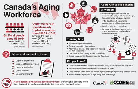 Aging Workforce and Productivity in Canada: Why Experience is Crucial for Business Growth