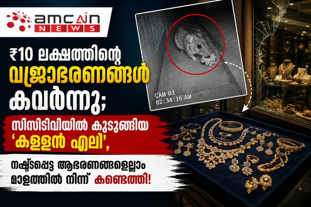 ₹10 Lakh Worth Diamond Jewelry Stolen; 'Thief Rat' Caught on CCTV, All Stolen Ornaments Recovered From Its Hole!