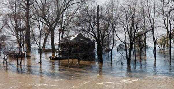 Natural Disaster in America: Widespread Damage in Hawaii and Indiana