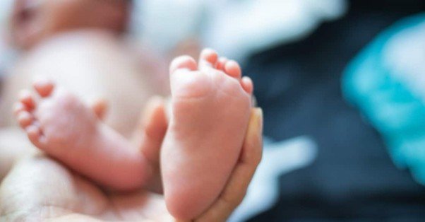 Fire Incident at Amravati District Hospital: Tragically Three Newborns Perish