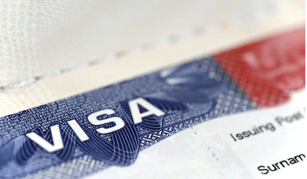 Trump admin to target 200,000 foreigners in largest mass visa revocation ever: report