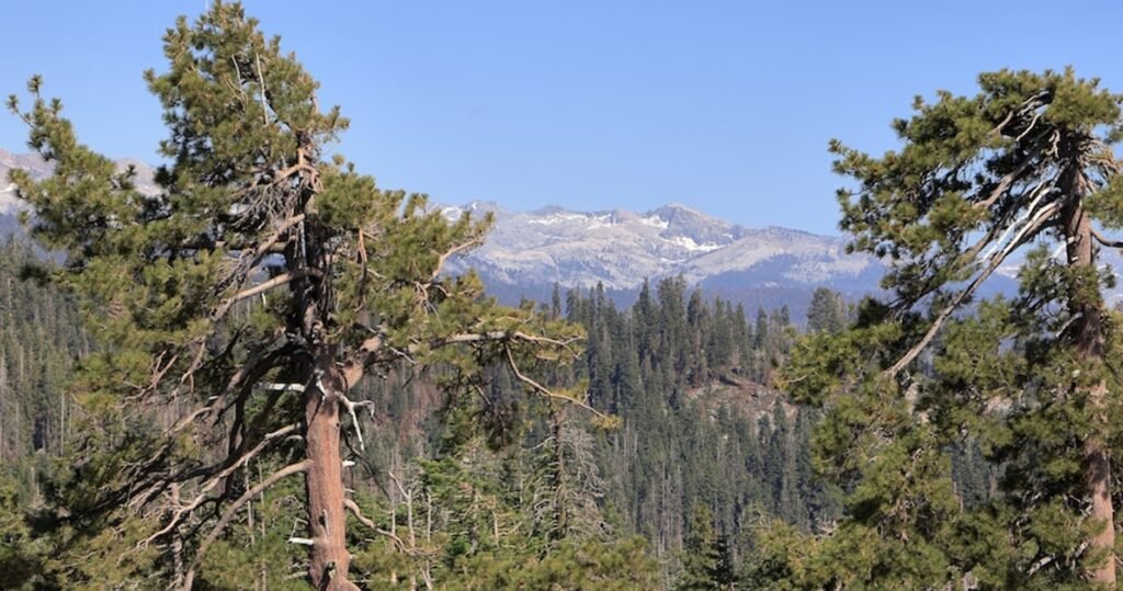 Miraculous Escape in the Nevada Mountains; 'Rebirth' for Climber