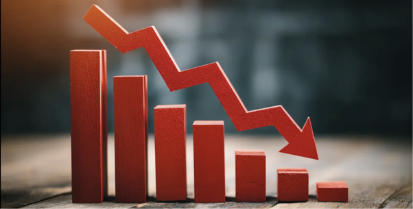 Central Government to reduce import duty: Advantage for India in the global market