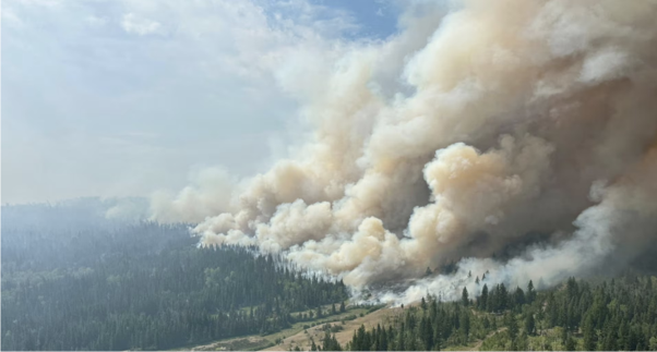 Wildfire in Metro Vancouver: Evacuation alert issued