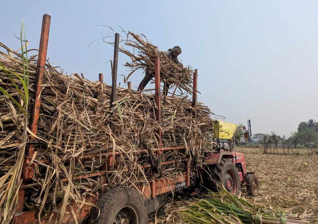 India seeks applications for remaining raw sugar import quota
