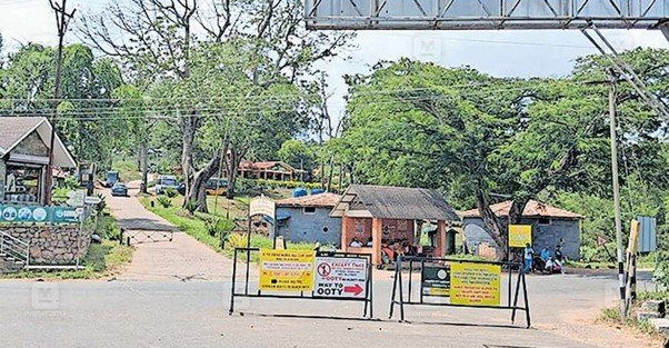 Masinagudi trip: Strict restrictions and entry ban for tourists
