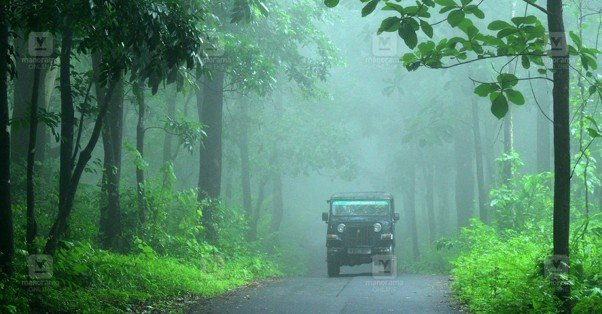 Controversy over night travel ban in plantation areas due to wildlife conflict in Idukki