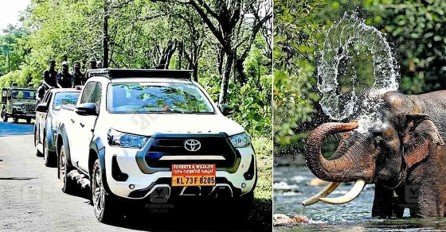 The mission to capture Kannur Makhna in Aralam continues; the elephant did not sedate even after being shot with three rounds of tranquilizer darts.