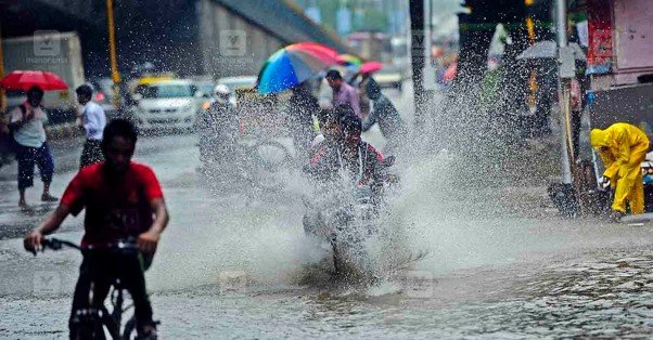 Heavy rains intensify across the state: Orange alert in five districts and widespread warnings