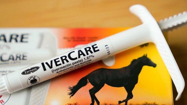Dawson Creek acupuncturist suspended after prescribing ivermectin: regulator