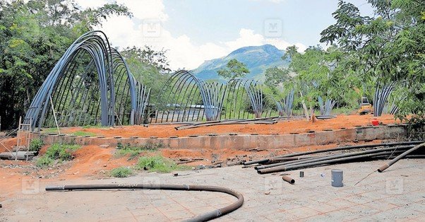 Natural habitat for birds being set up at Udayagiri Fort