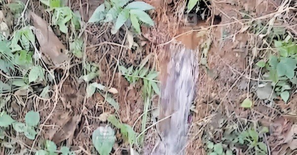 Underground Water Flow Sparks Curiosity and Concern Among Locals